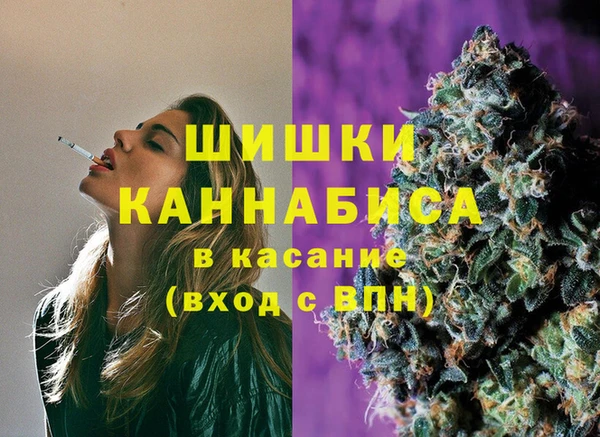 мяу мяу мука Белокуриха