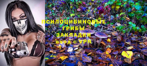 a pvp Богородск