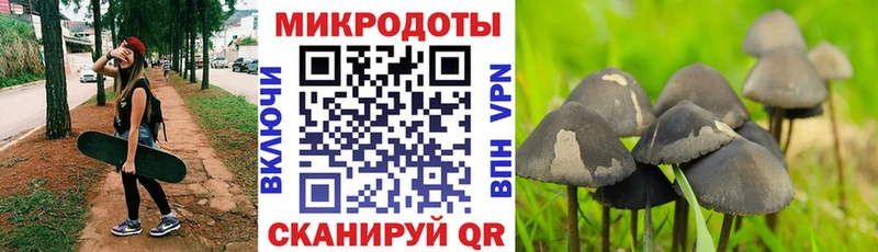 купить наркотики сайты  Гаврилов-Ям  Галлюциногенные грибы GOLDEN TEACHER 